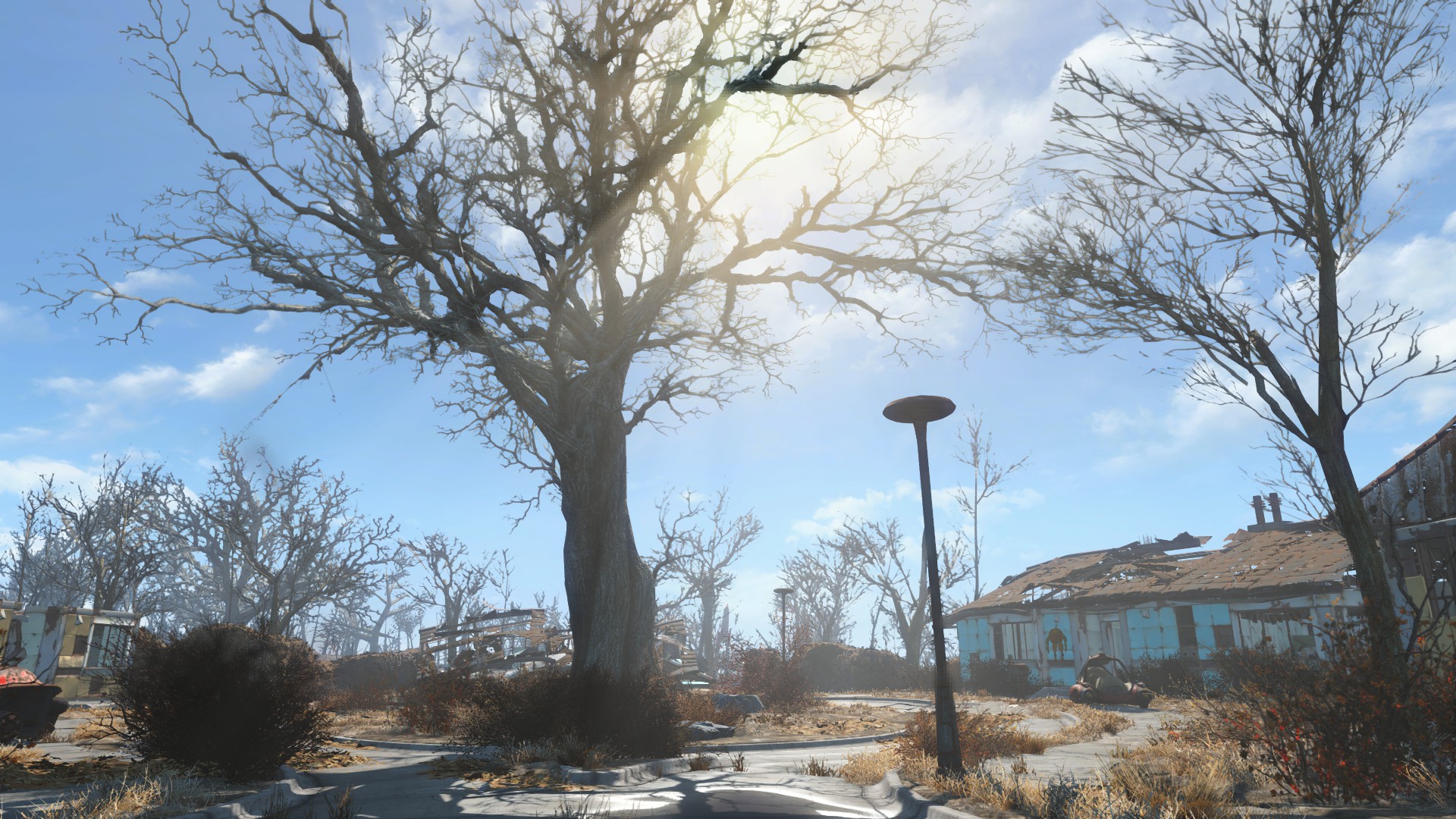 The lighting is really incredible.