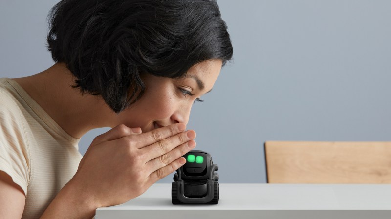 Anki Vector
