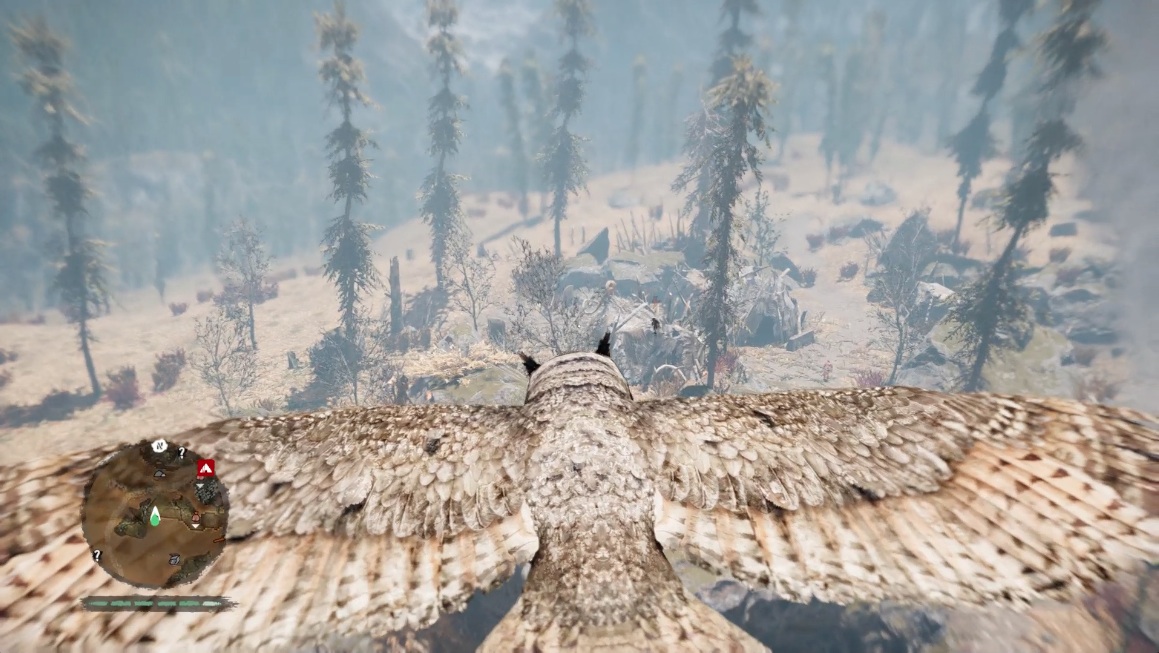 Thank God for this owl.