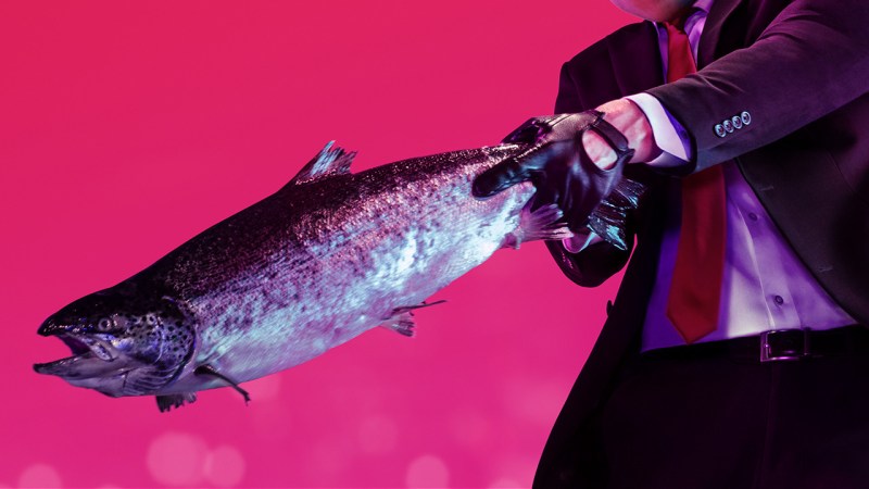 I gave up knives for lent, so I have to kill you with this fish.