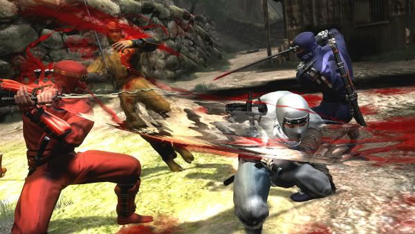 Ninja Gaiden 3 multiplayer