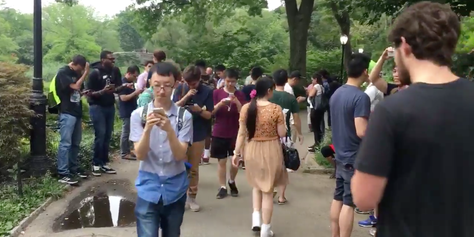 A massive crowd gathers in New York City's Central Park to catch 'em all.