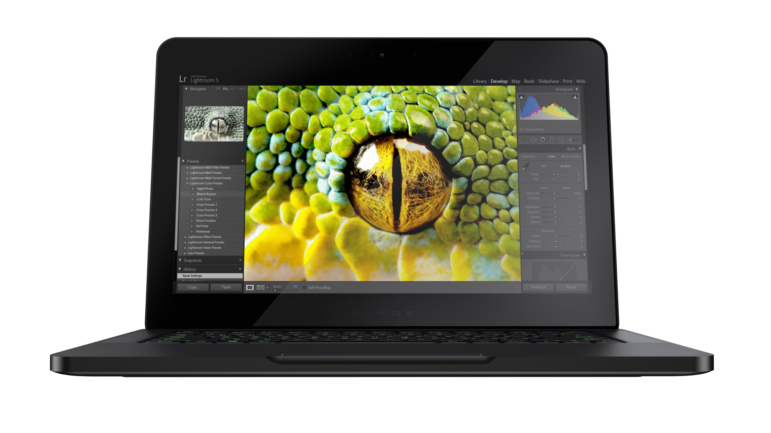 Razer Blade 14-inch edition