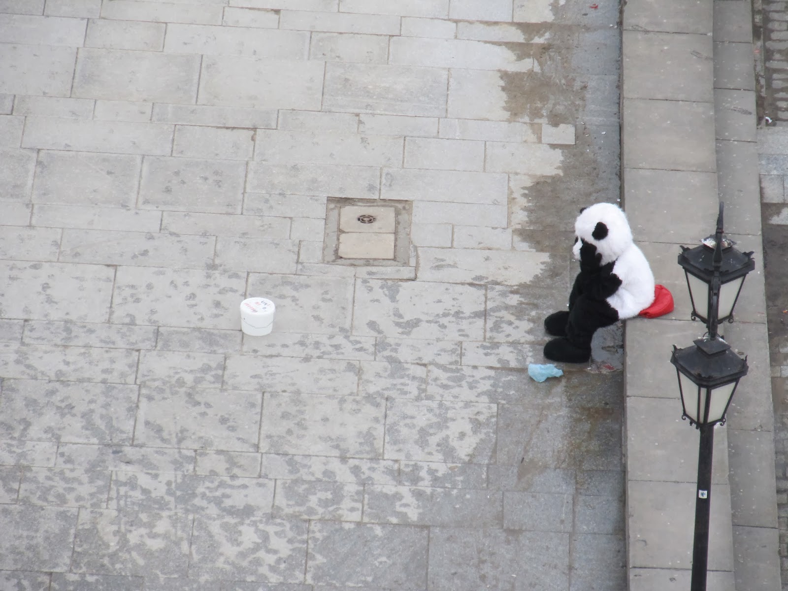 Sad panda Warsaw - innaerasmus