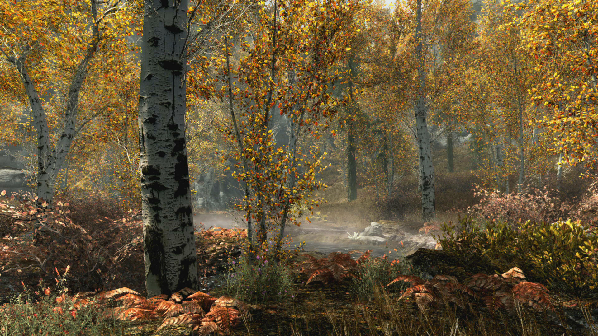 Skyrim Special Edition E3 2016 - Fall Forest