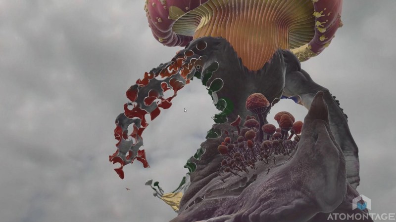 A voxel image