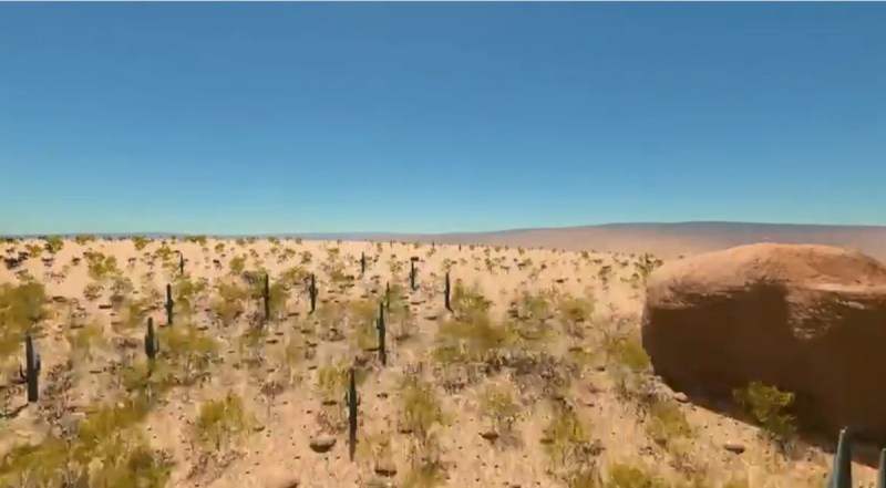 Biomes will be generated for each new map.