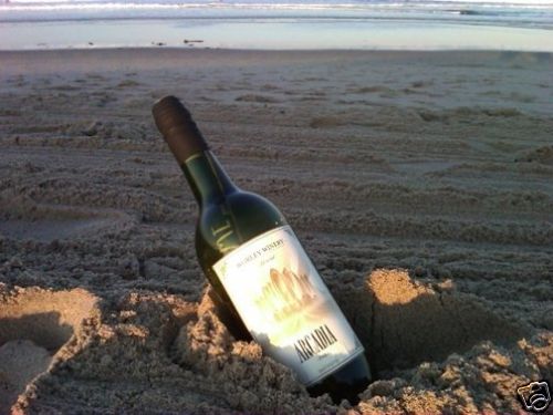Bioshock Wine