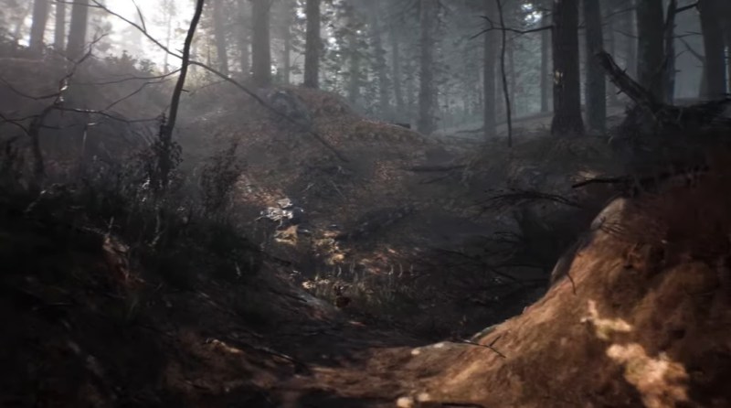 The Black Hills forest of Blair Witch.