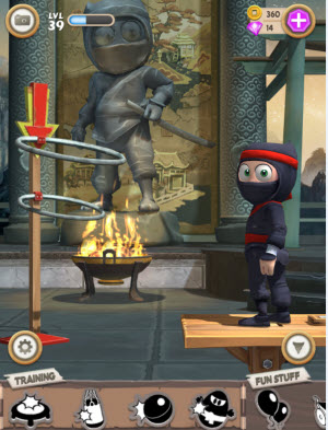 Clumsy Ninja goes through the hoops
