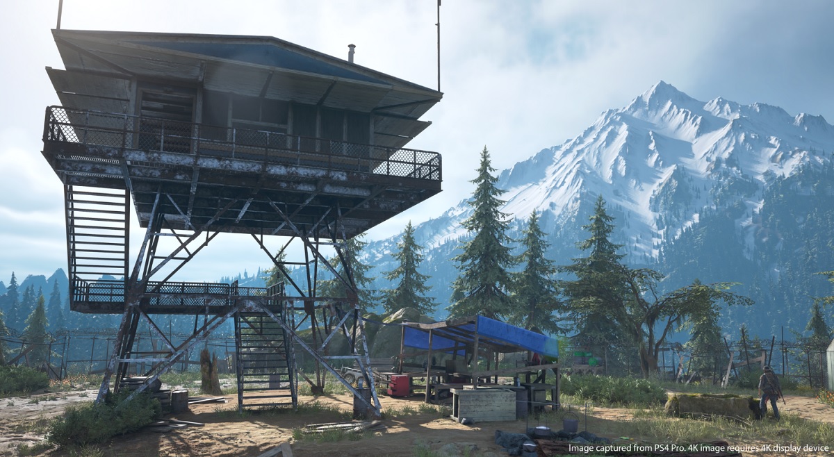 Days Gone takes place in the Oregon wilderness. This looks like a nice, safe place.