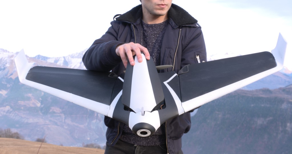 Parrot Disco