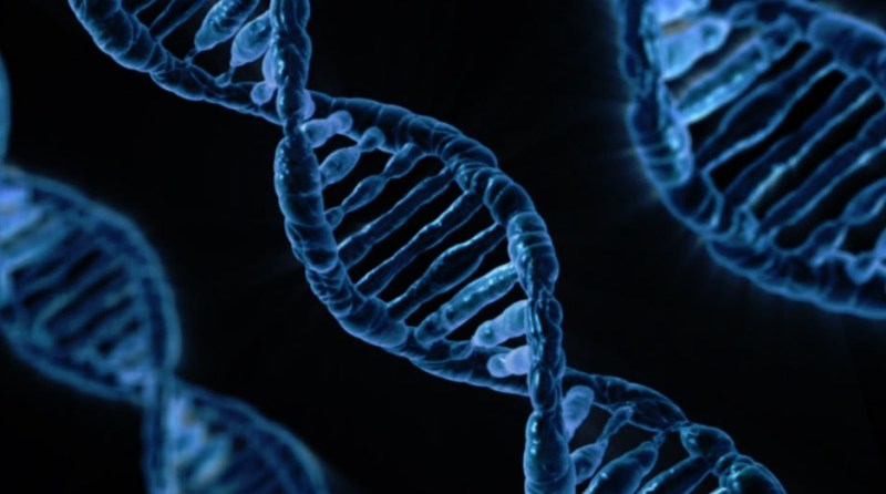 DNA