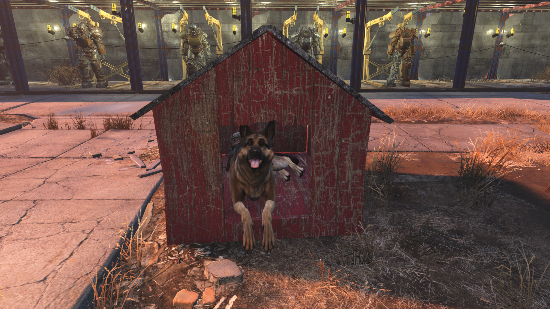 Where were you! You're a bad dog!