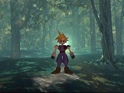 In the forest