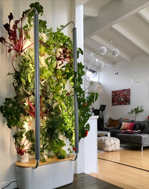 Gardyn lets you grow vegetables indoors.