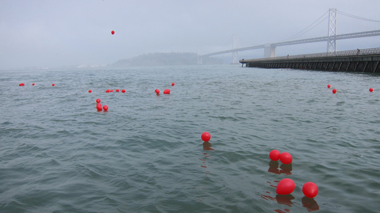 Hundreds of Homefront's balloons landed in San Francisco Bay.