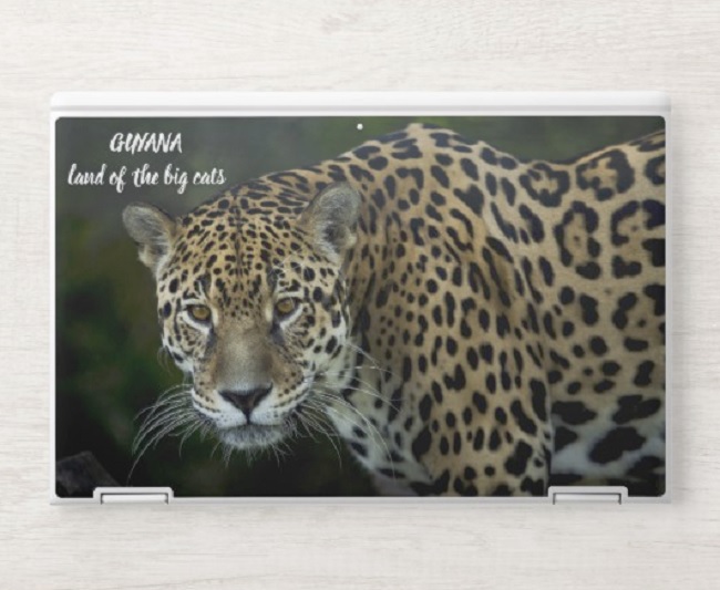 HP has a partnership with Zazzle to let you create your own laptop skin.
