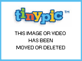 shovelware