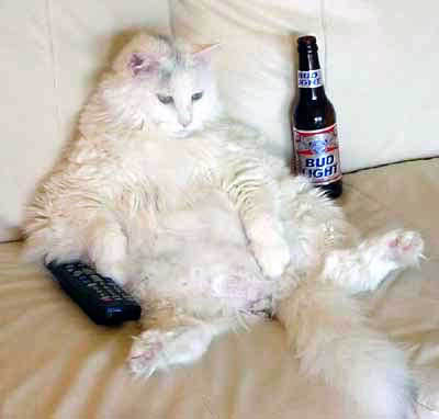 Lazy
