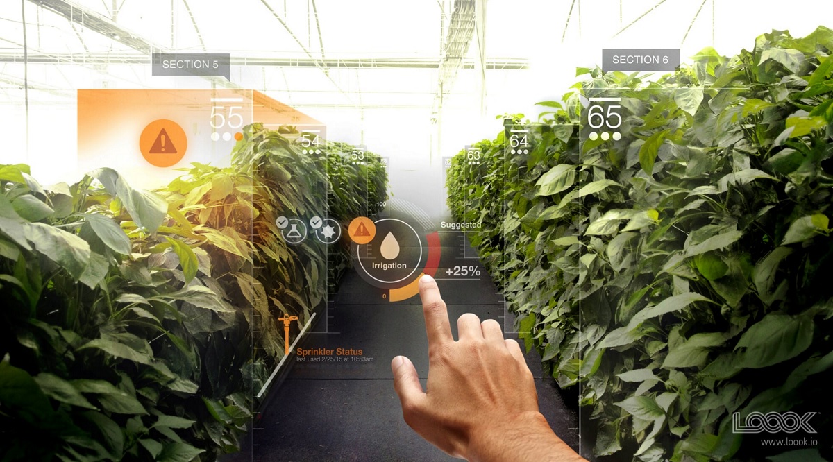 Loook will create cool apps that layer animations on top of the real world.