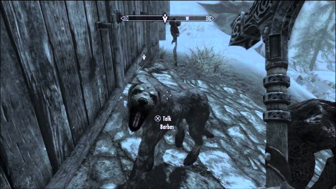 Cute doggy!