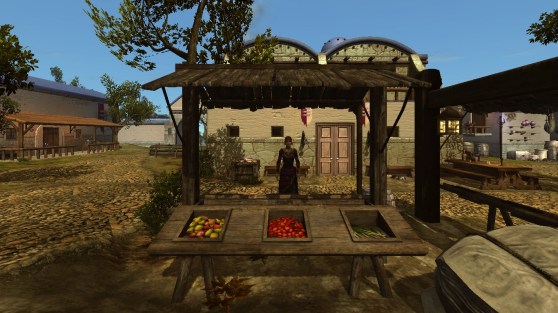 This looks like it might be a food vendor, but you cannot interact with it in any way or talk to the person behind the counter.