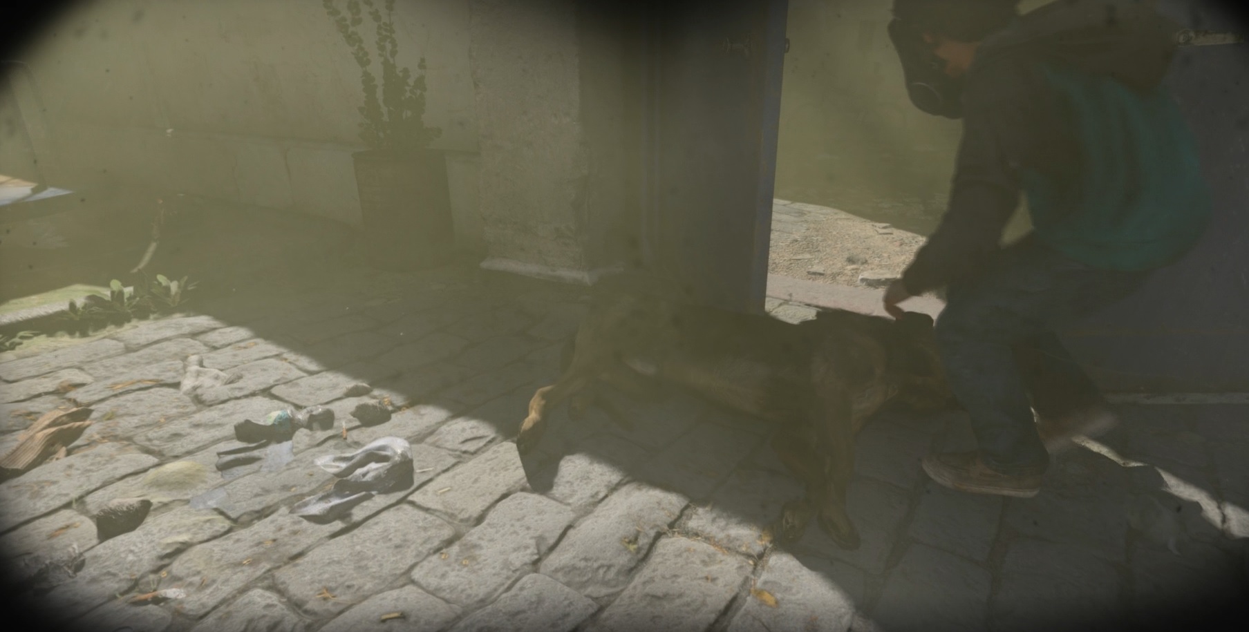 A dog killed by gas in Modern Warfare.