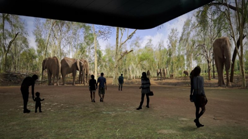 Panasonic's cool imagery, projected from its latest tech.