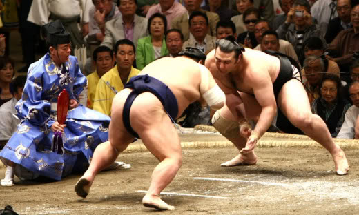 Sumo
