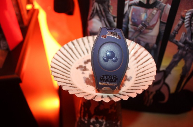 Disney theme park wearable