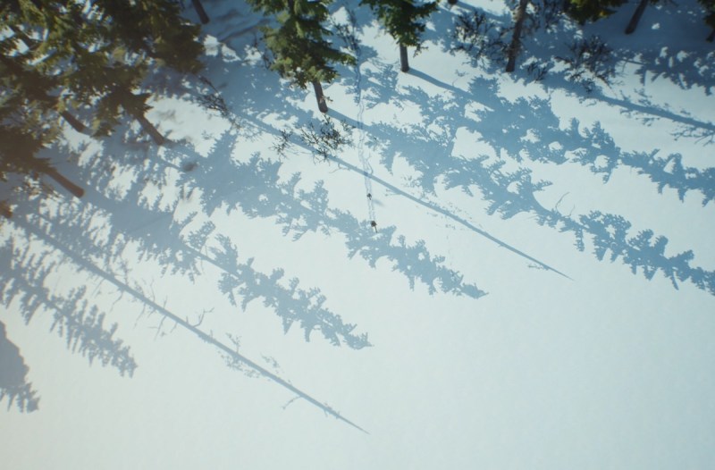 Two tiny specks in a forest.
