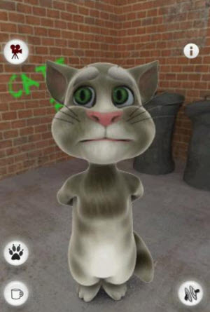 talking tom cat