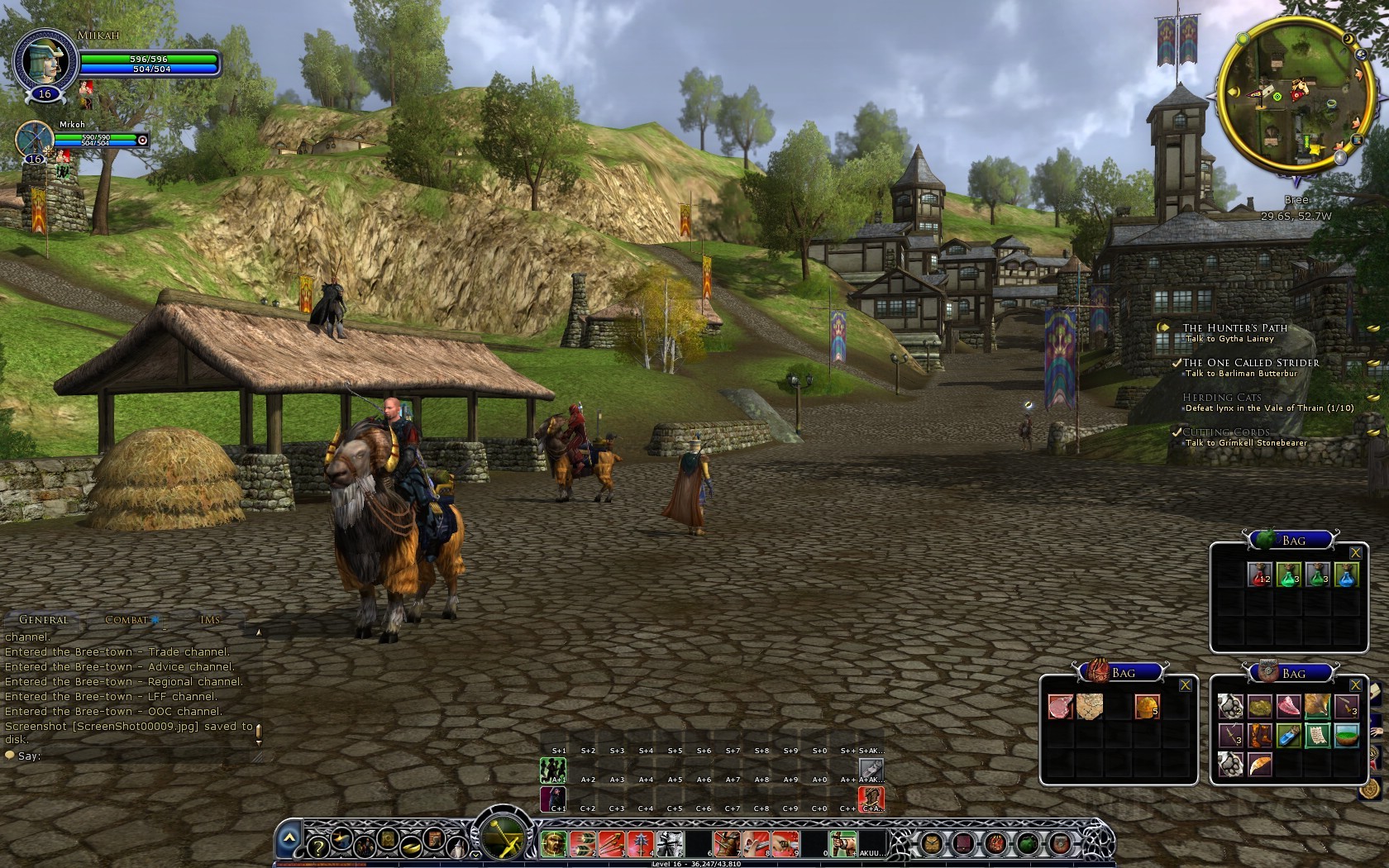 It really does look like World of Warcraft, doesn't it?