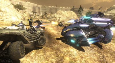 warthog