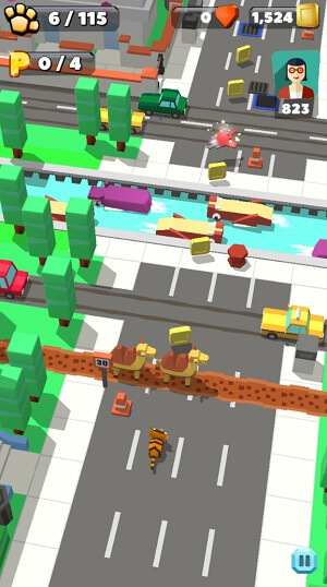 Wild City Rush