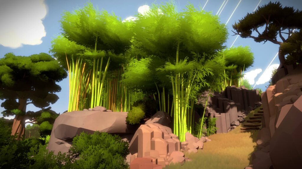 The Witness