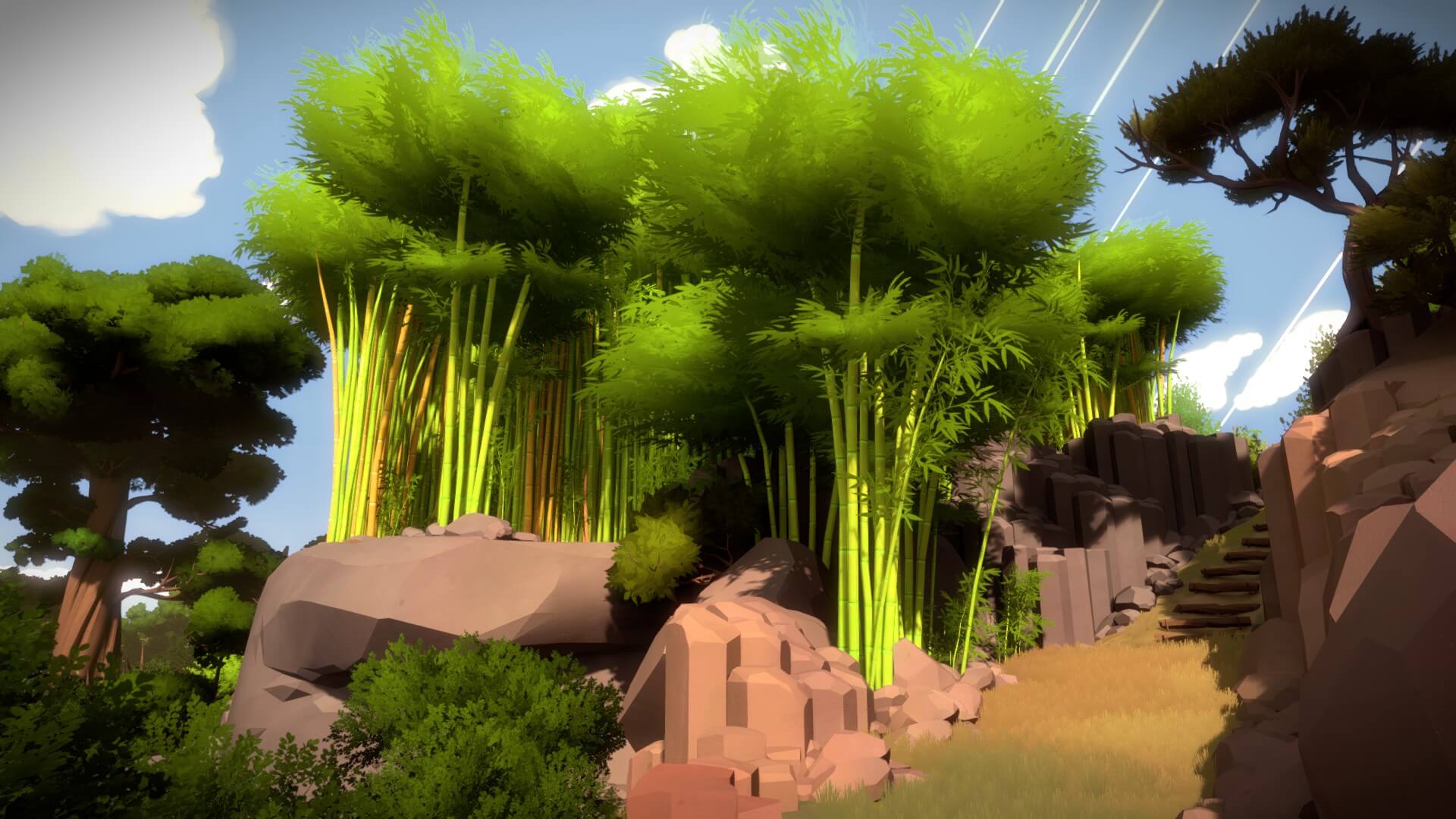 The Witness