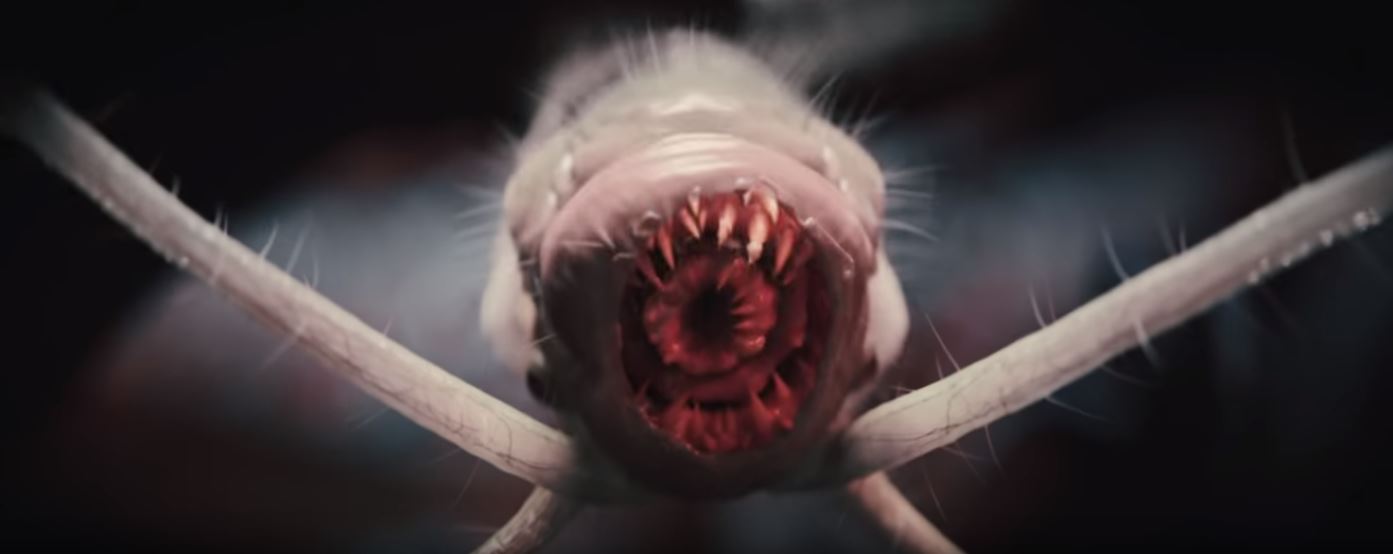 These tadpoles will turn you into illithids in seven days ... but do they also have something to do with The Absolute?
