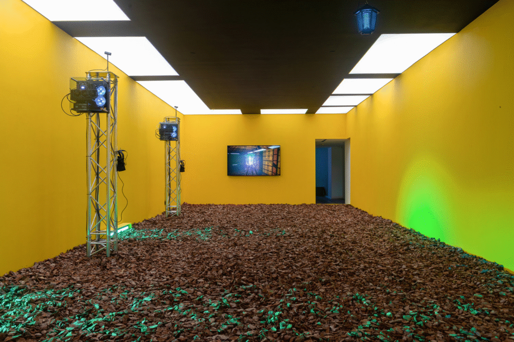 Physical XR art installation.
