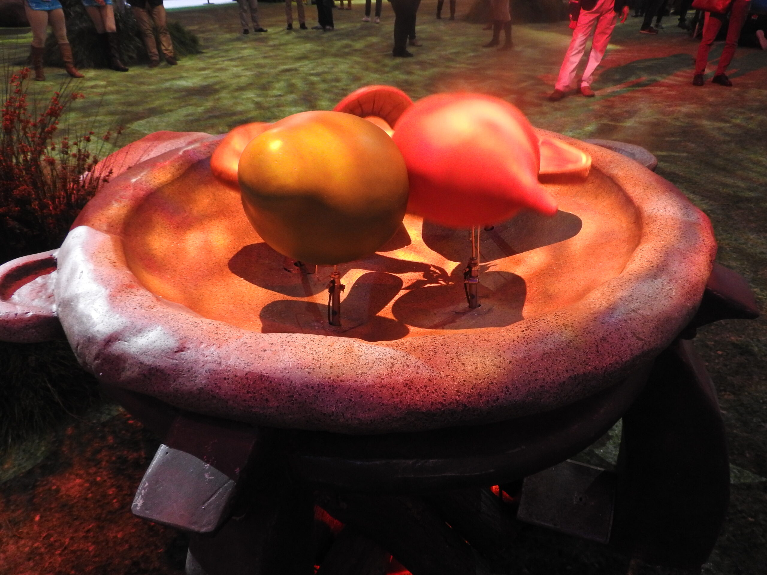 Mushrooms.