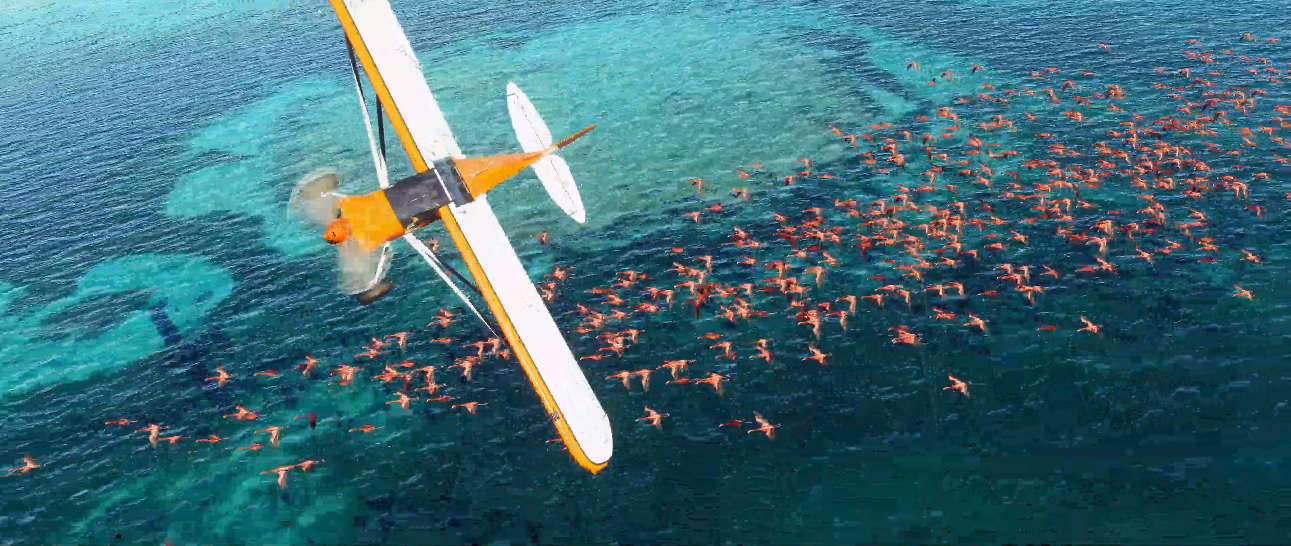 Microsoft Flight Simulator.
