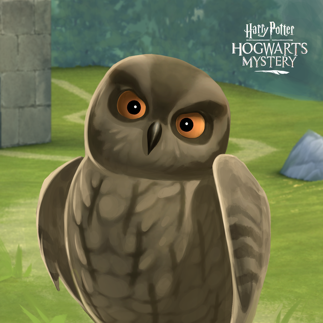 Harry Potter: Hogwarts Mystery lets you have pets.