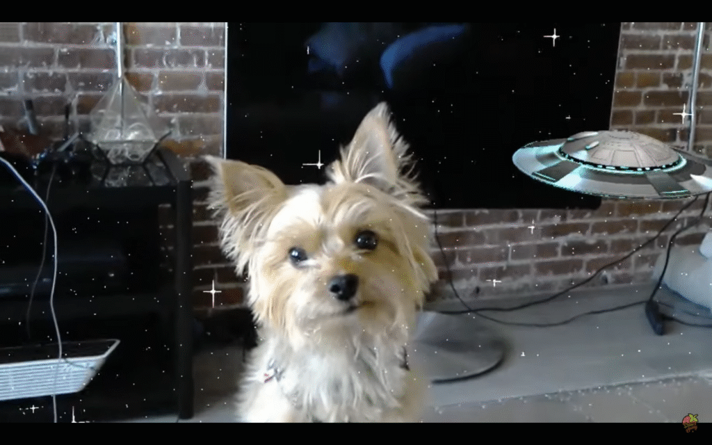 Check out these trippy holograms from Microsoft’s Actiongram app for HoloLens