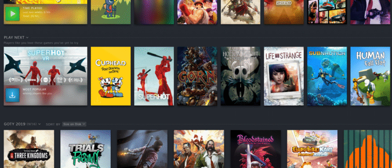 The Play Next feature in Steam.