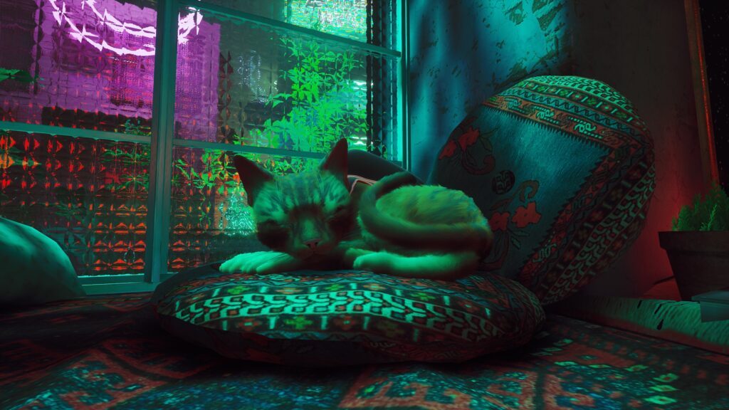 Stray's Cat is possibly the cutest game protagonist of 2022.