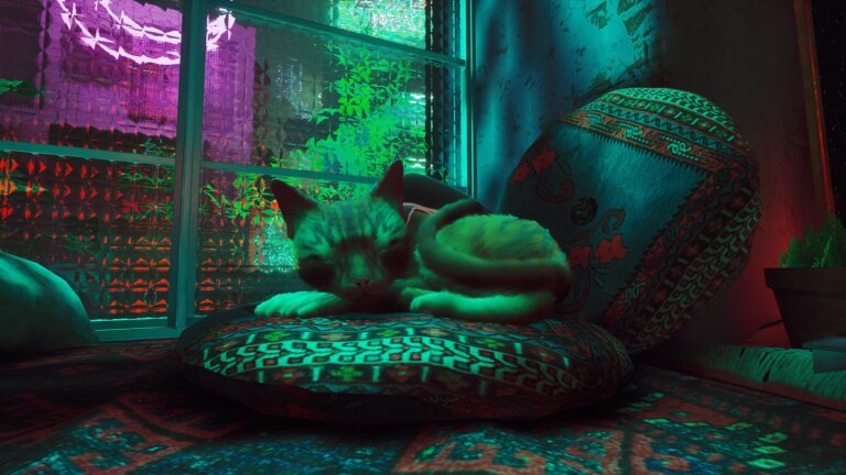 Stray's Cat is possibly the cutest game protagonist of 2022.