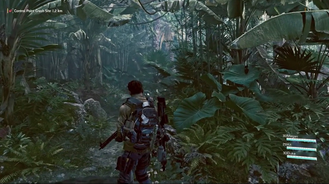 The woods outside of D.C.