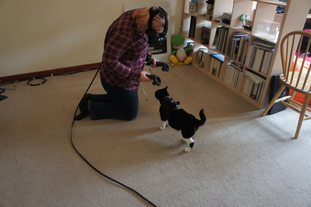 This hack enables you to see your cat when you’re in VR