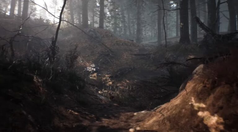 The Black Hills forest of Blair Witch.